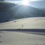 - Restaurant Gosauerhof מלון גוסאו