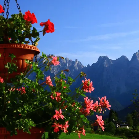 - Restaurant Gosauerhof