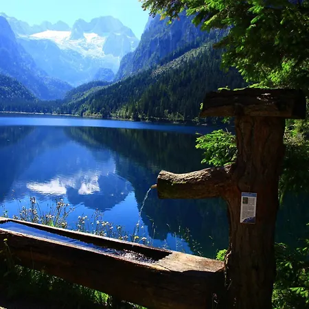 Hotel - Restaurant Gosauerhof