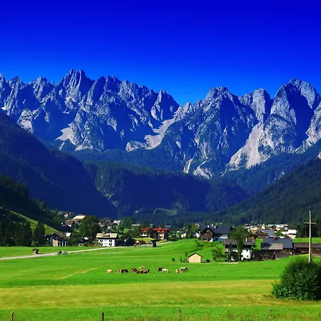 Hotel - Restaurant Gosauerhof 3*