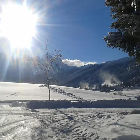 Szálloda - Restaurant Gosauerhof 3*