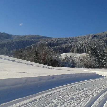 Szálloda - Restaurant Gosauerhof