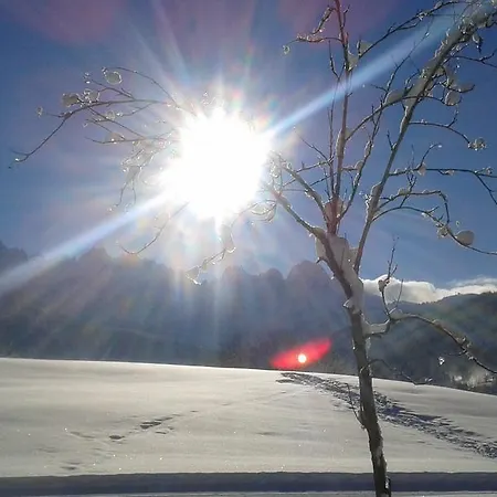 Hotel - Restaurant Gosauerhof 3*