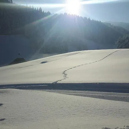 - Restaurant Gosauerhof Hotel Gosau