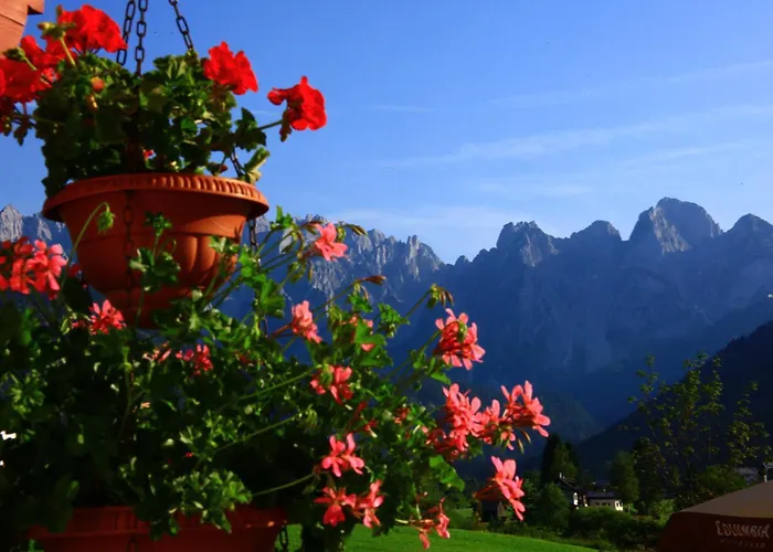 - Restaurant Gosauerhof