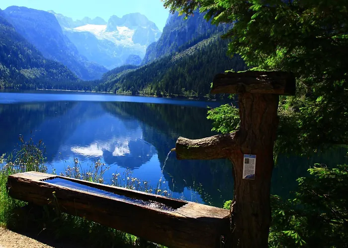 Hotel - Restaurant Gosauerhof