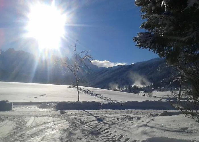 Hotel - Restaurant Gosauerhof 3*