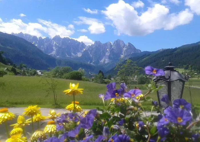 - Restaurant Gosauerhof Gosau