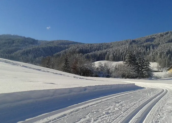 Hotel - Restaurant Gosauerhof