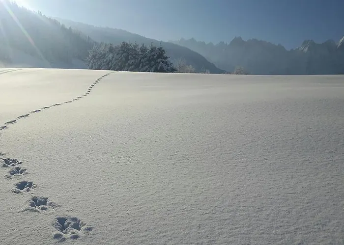 - Restaurant Gosauerhof