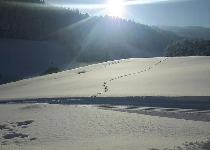 - Restaurant Gosauerhof Hotel Gosau