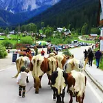 Hotell - Restaurant Gosauerhof Gosau