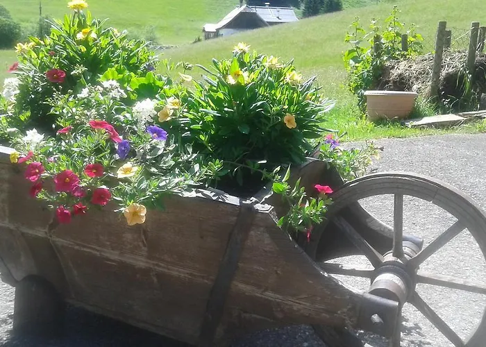 Ξενοδοχείο - Restaurant Gosauerhof 3*