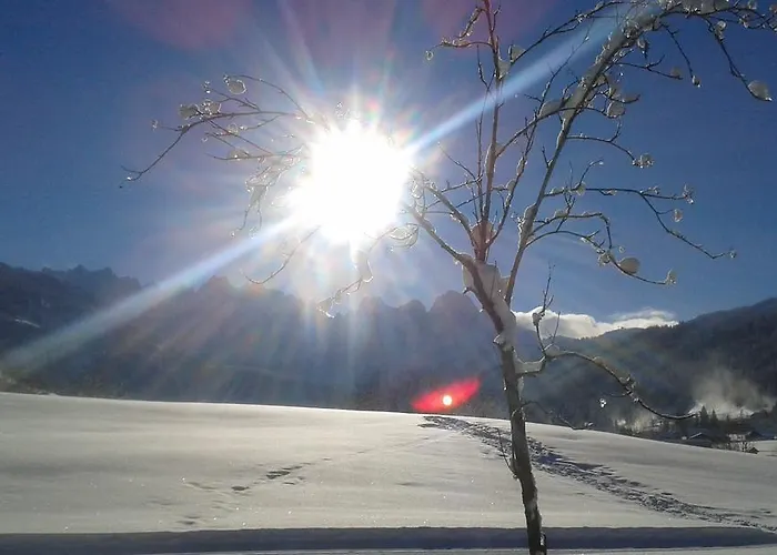 Ξενοδοχείο - Restaurant Gosauerhof 3*